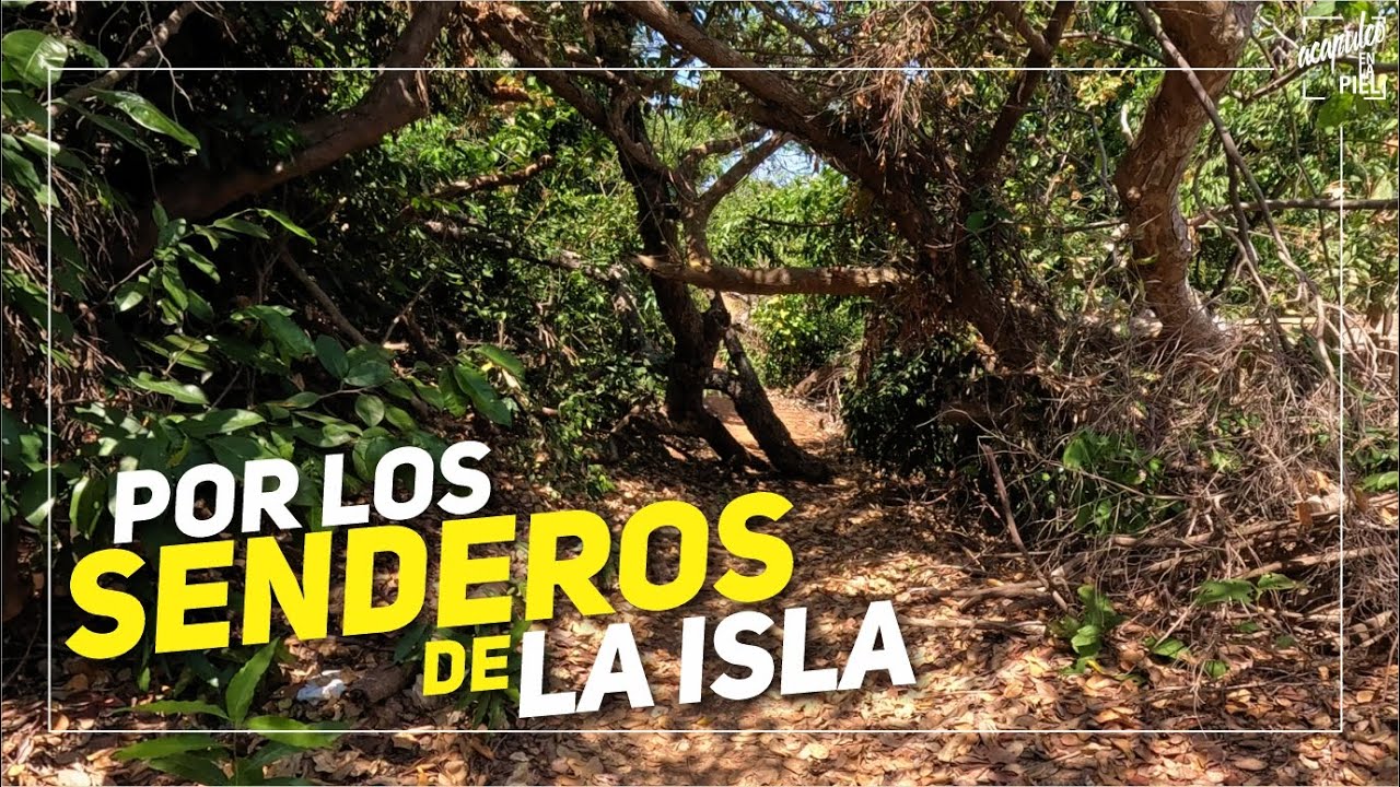 En busca de LOS MIRADORES DE LA ISLA DE LA ROQUETA. Explorando los senderos (termina mal)