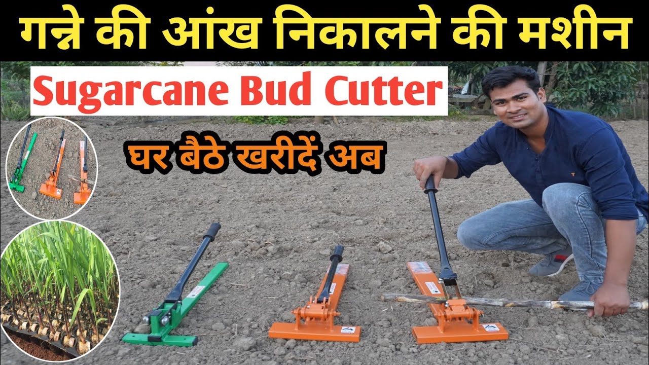 Sugarcane Bud Cutter Machine |गन्ने की आंख निकालने की मशीन घर बैठे खरीदे| #BudCutter price in india
