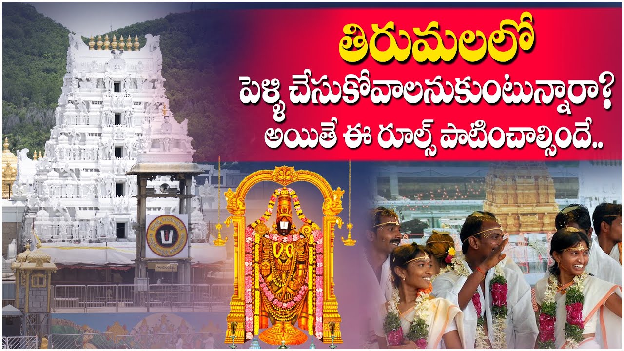Marriage at tirumala tirupathi|TTD marriage booking procedure|Anu TTD Darshan