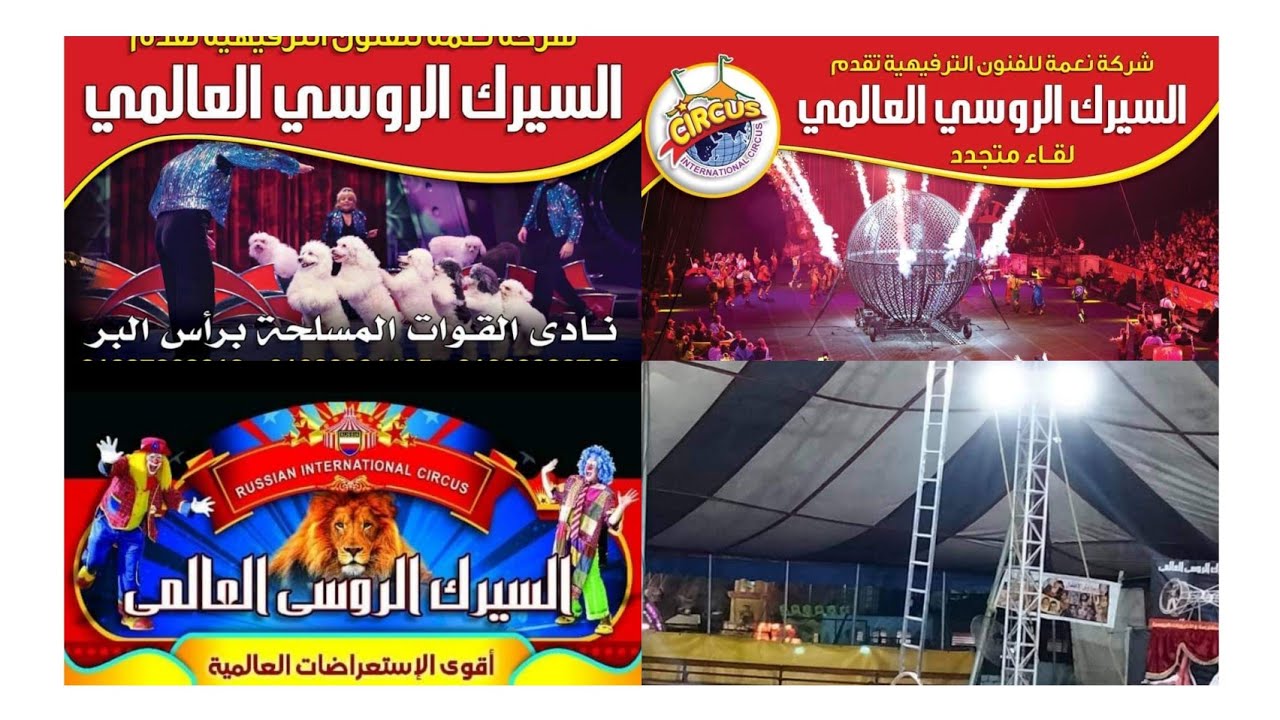 السيرك الروسى العالمى لاول مره برأس البر قمه المتعه وأقوى العروض مدرب الأسود وفقرات الساحر المشهور