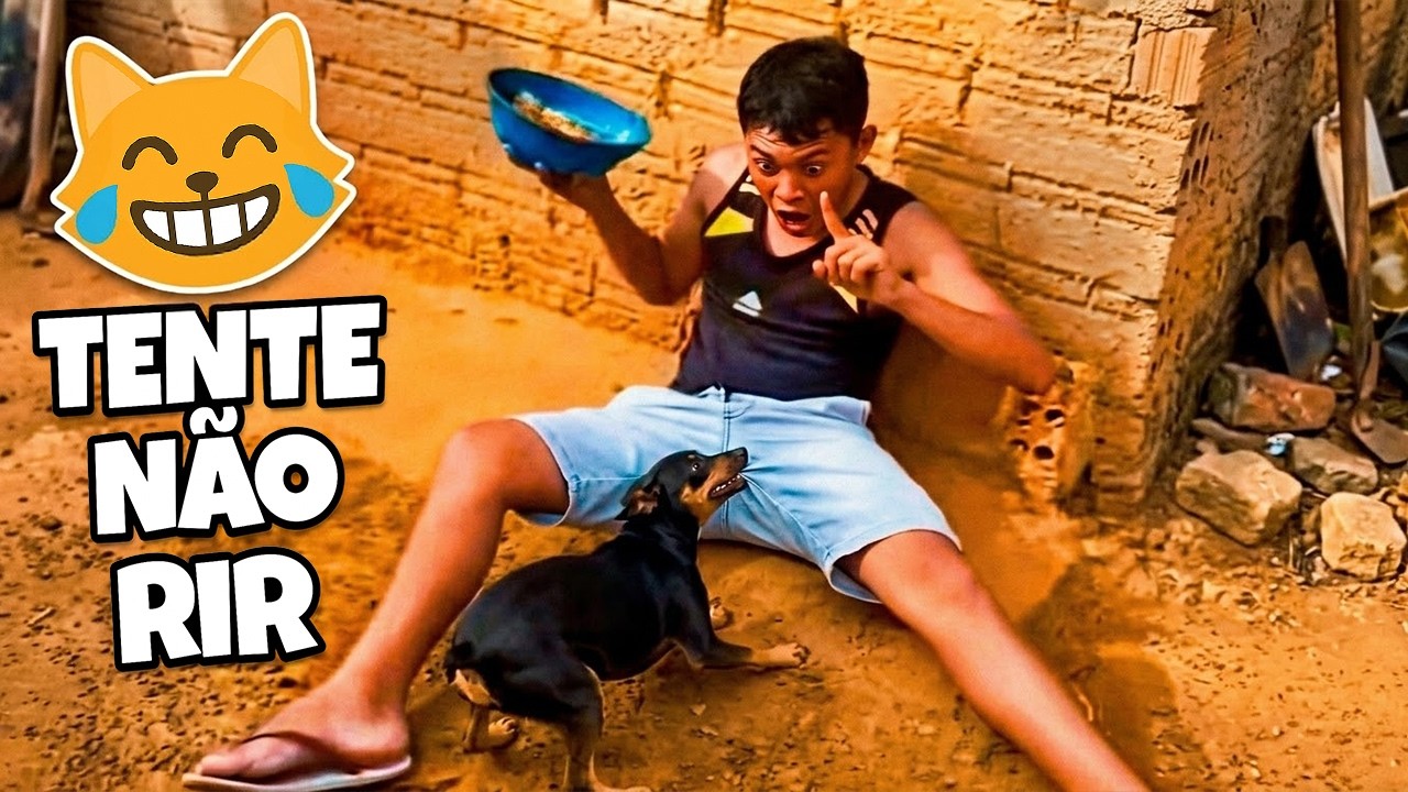 TENTE NÃO RIR IMPOSSÍVEL 😂 OS MELHORES MEMES DA INTERNET