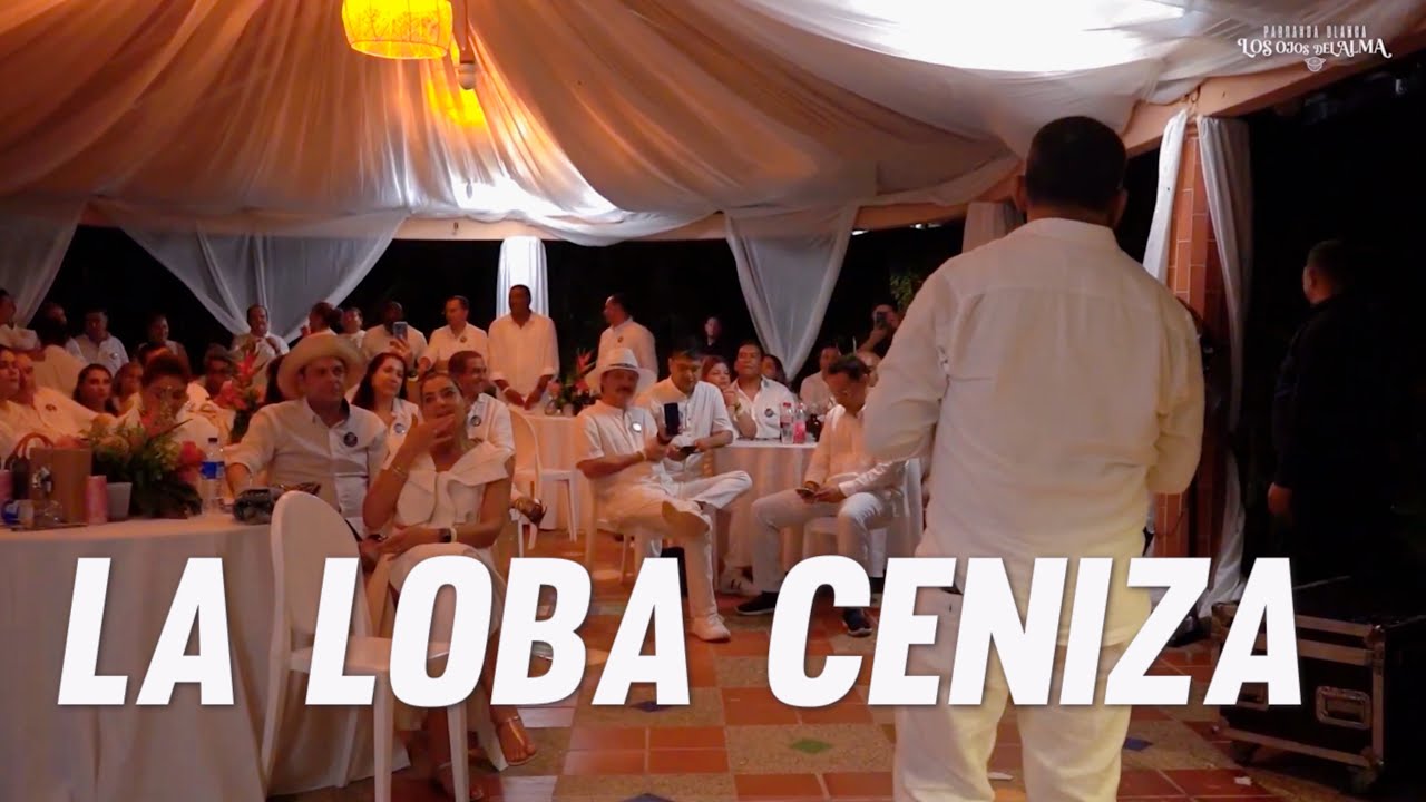 LA LOBA CENIZA / Ivo Diaz y Almes Granados