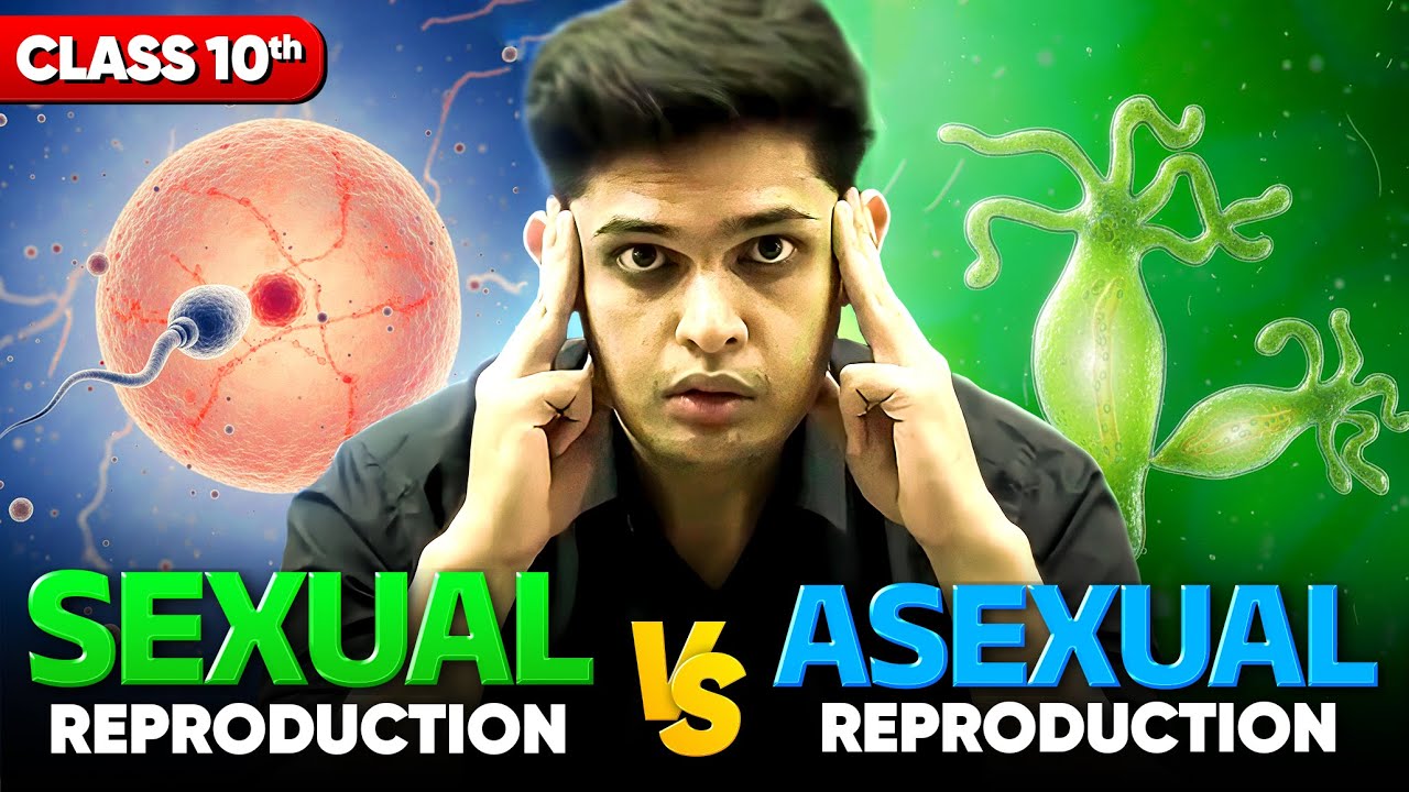 Sexual vs Asexual Reproduction?! 😱 | Class 10 Science | How Organisms Reproduce