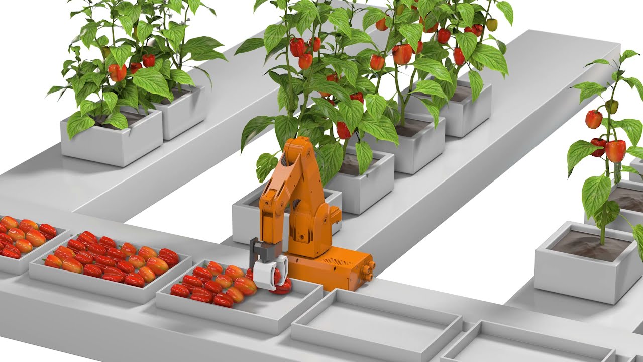 Vertical farming