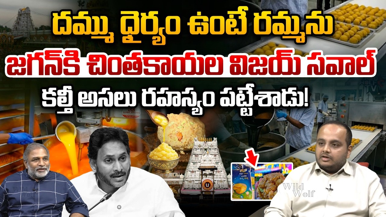 Chintakayala Vijay On TTD Laddu Issue: దమ్ము ధైర్యం ఉంటే రమ్మను.. జగన్‌కి చింతకాయల విజయ్ సవాల్ | TDP