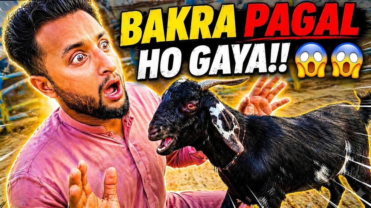 Pagal Bakray Ney Hamara Bura Haal Kardia! 🐐😱 | Farm Vlog 