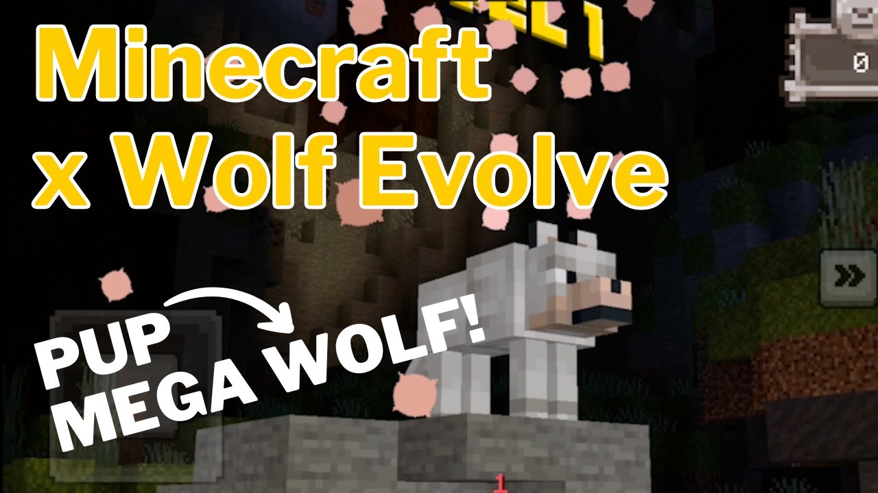 Minecraft x WOLF EVOLVE- Upgrading WOLVES to SUPER WOLVES in MINECRAFT!