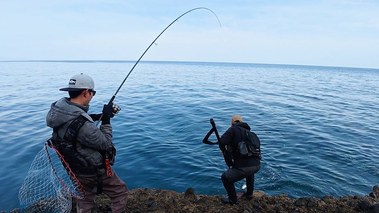 日本海サクラは今シーズン釣り納めかな