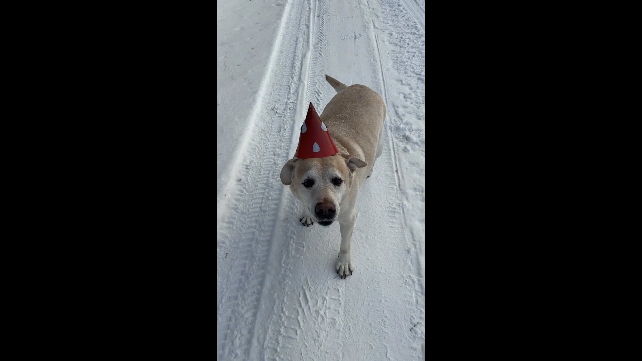 День Рождения Ульзаны и Уланы. anzl.ru