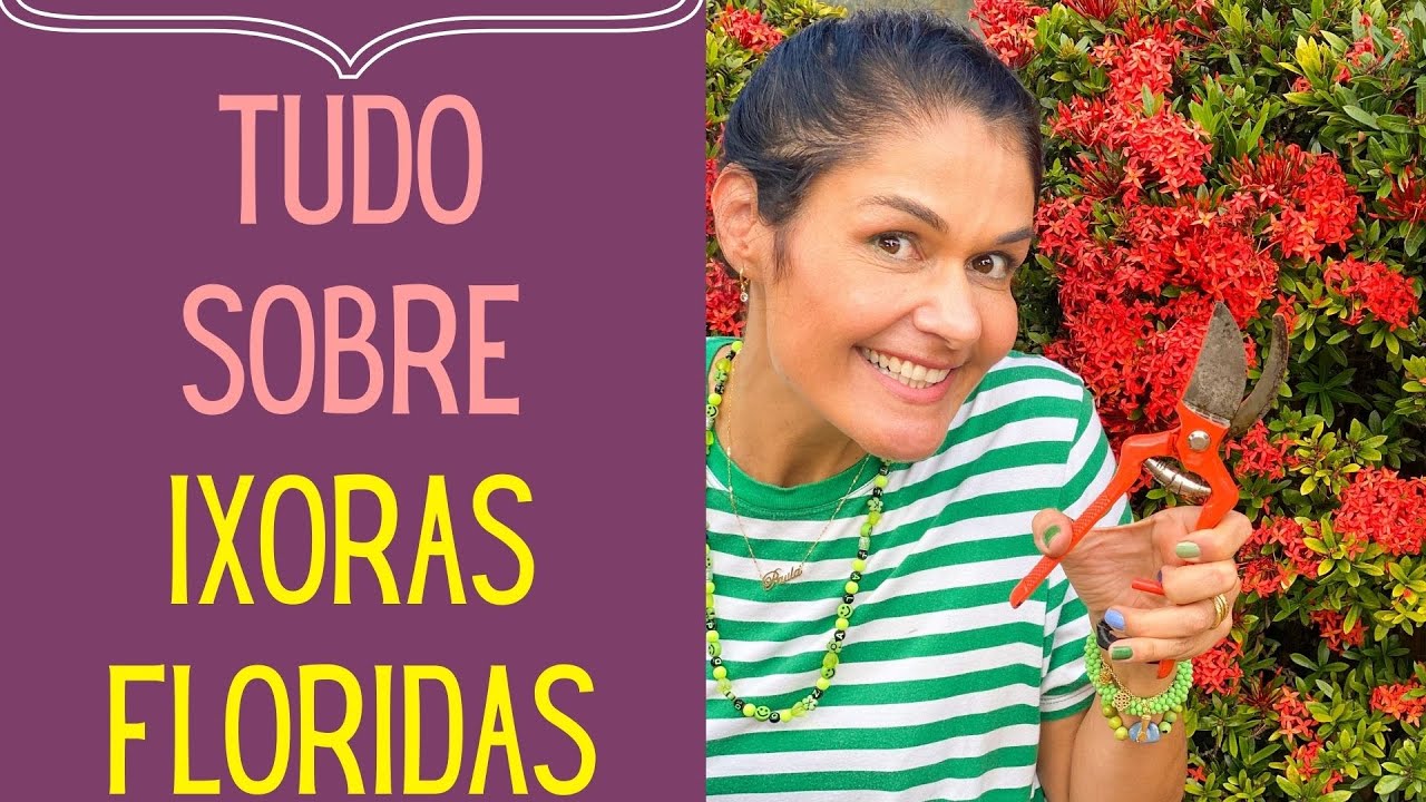 PLANTAS FLORIDAS: Como cuidar de ixora: Podar, fazer florir e fazer mudas