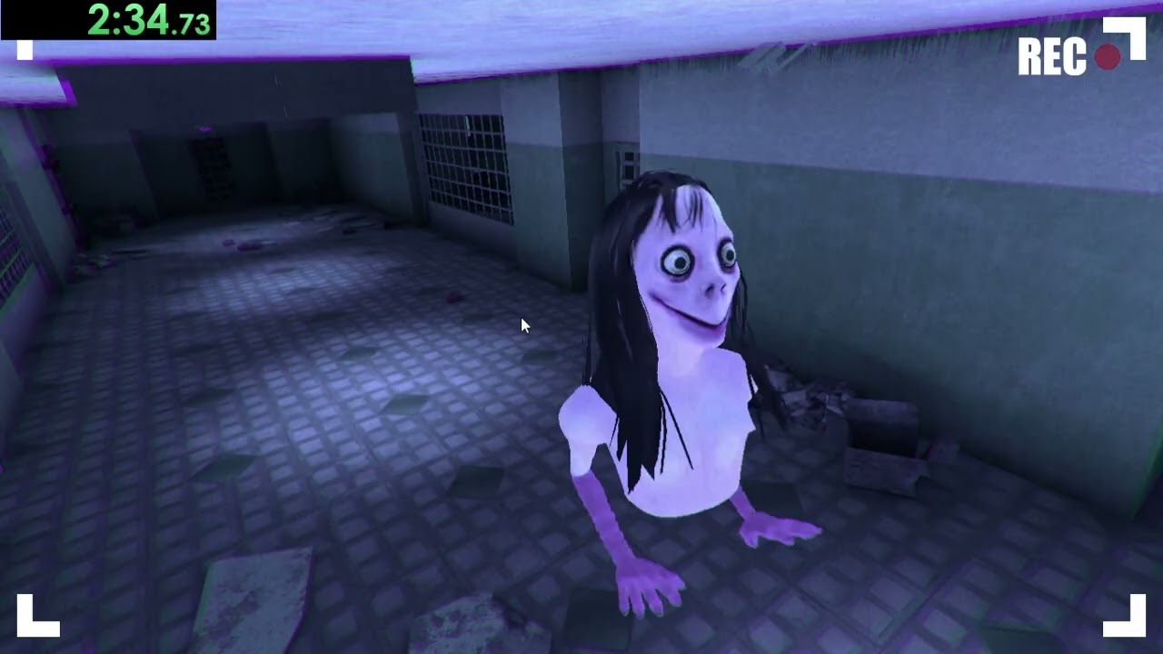 Momo Mother Bird: Final Story. Any% 
