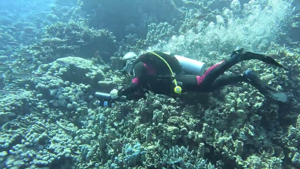 fun diving