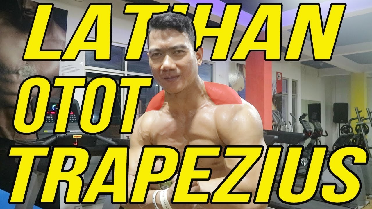 Reps-ID.com - 3 Cara Melatih Otot Trapezius