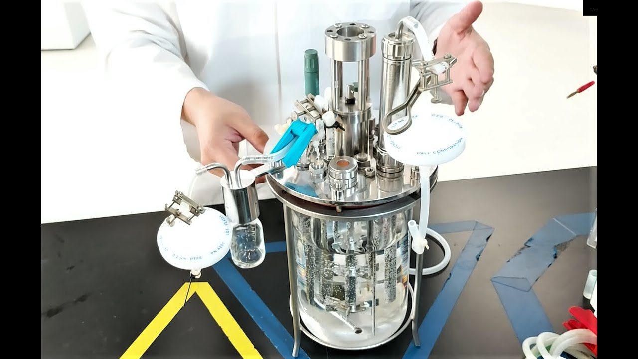 Esterilización de un biorreactor agitado mecánicamente