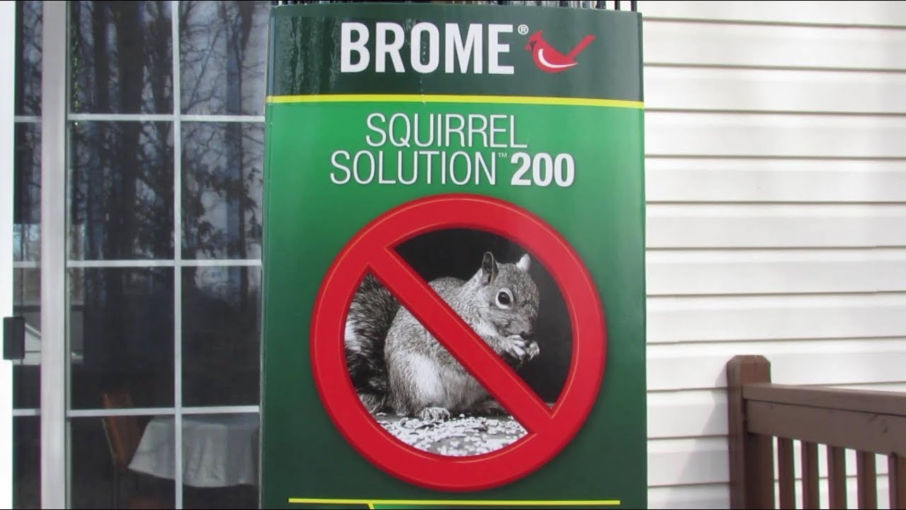 Brome 