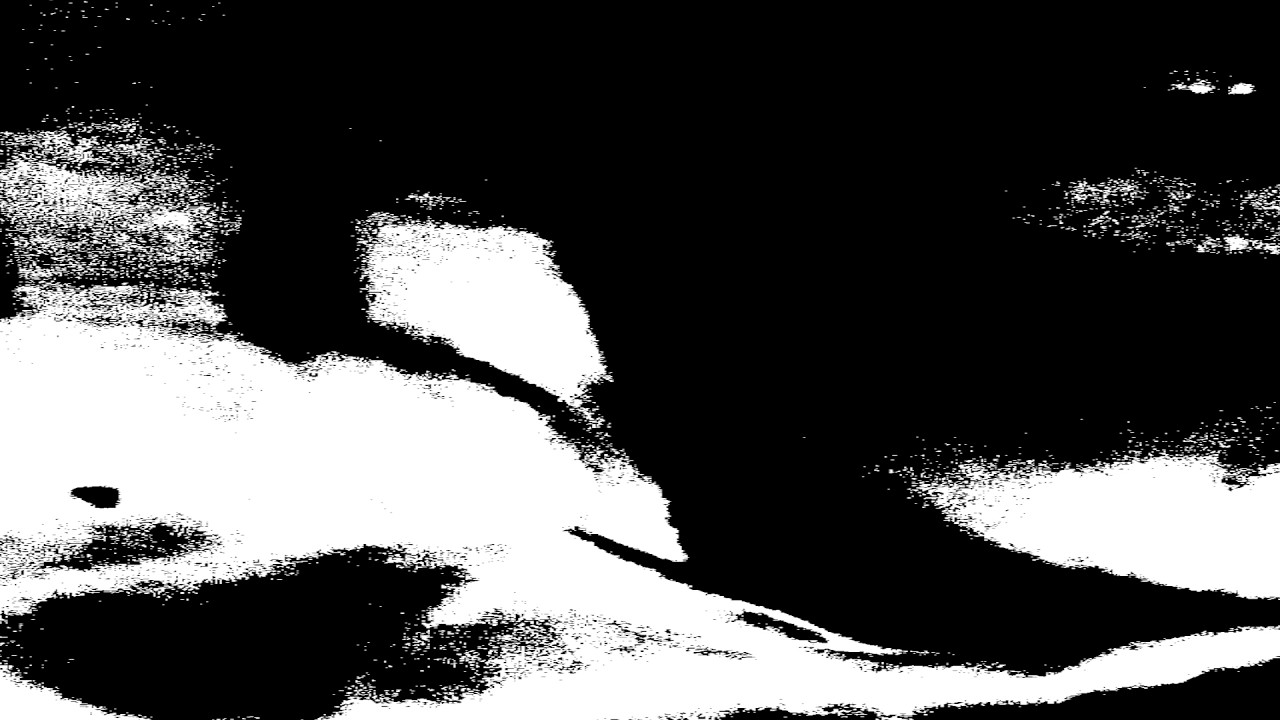 Ghost of Love - David Lynch (MV)