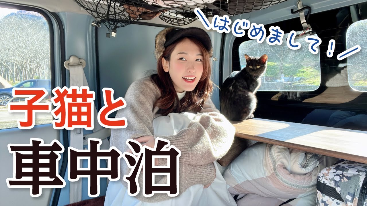 【車中泊女子】保護猫と一緒に車中泊キャンプ｜ちょこっと家電で焼肉パーティー／笠置キャンプ場・京都