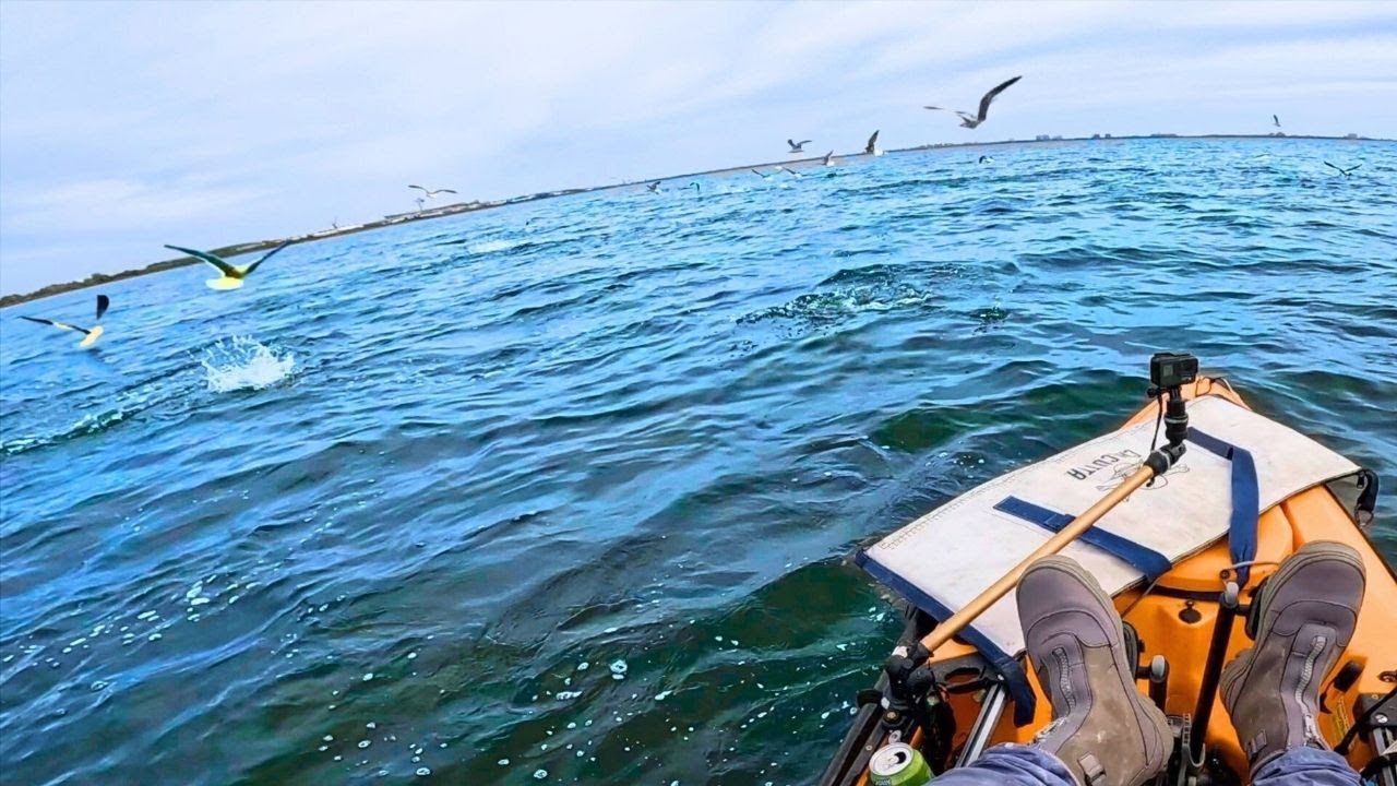 Два дня ранней осенней рыбалки в заливе Джамейка! Weakfish, Cocktail Blue Blitz и Last minute Fluke.
