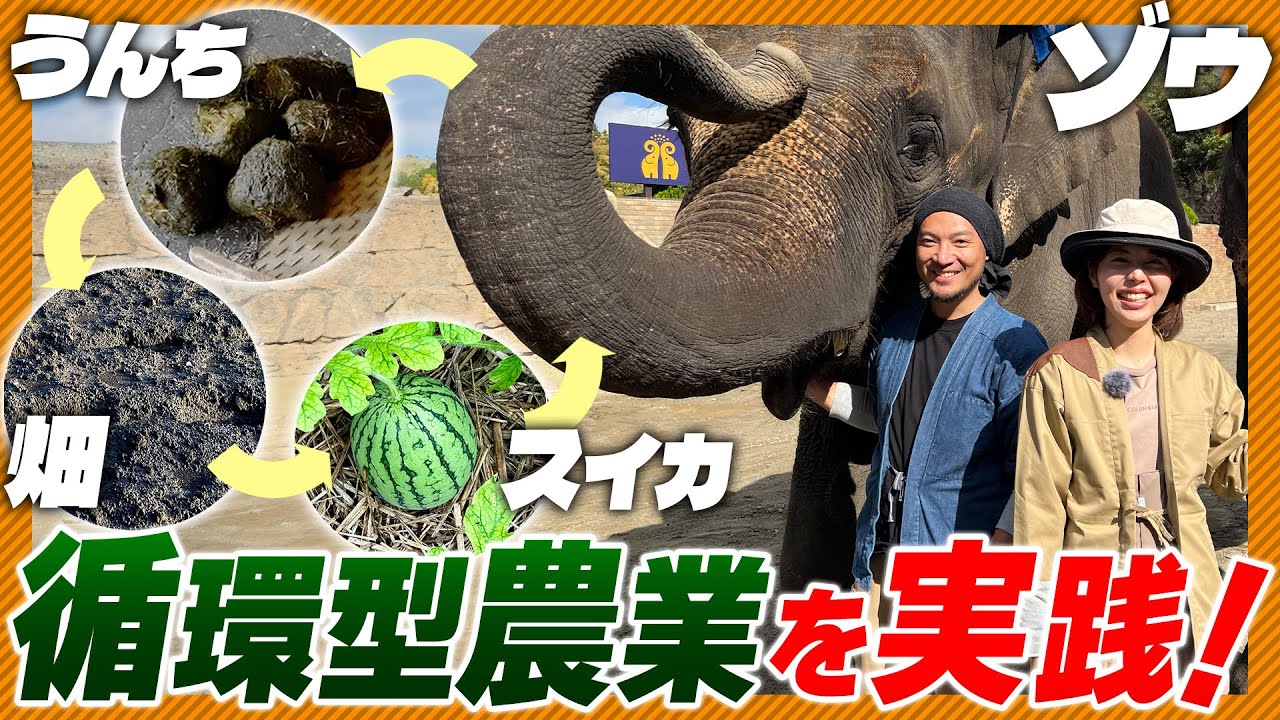【循環型土づくり】市原ぞうの国に行くゾウ！ぞうさんのうんちでまるっと土づくりをしよう！