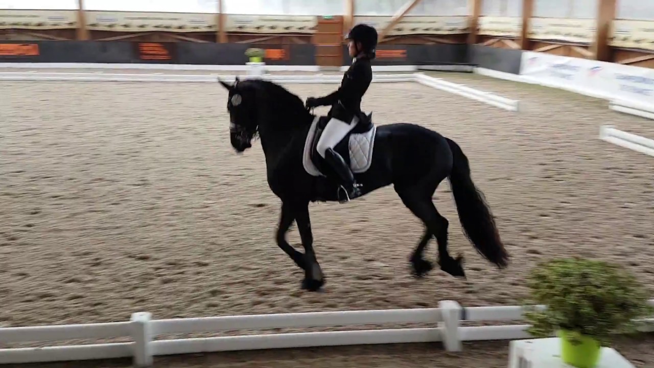 RLM Championnat de France dressage amateur 2017