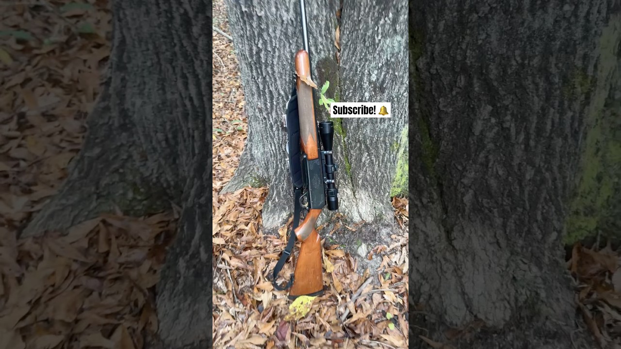 Great rifle! Browning BAR MK II Safari! #subscribe #whitetaildeer #season