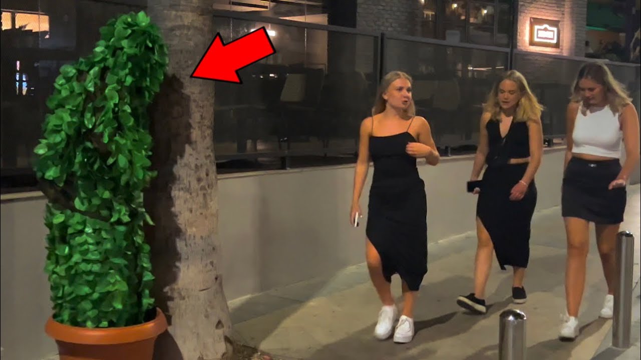 🌴 Bushman Prank Madness: Hilarious Reactions Caught on Camera! 📸