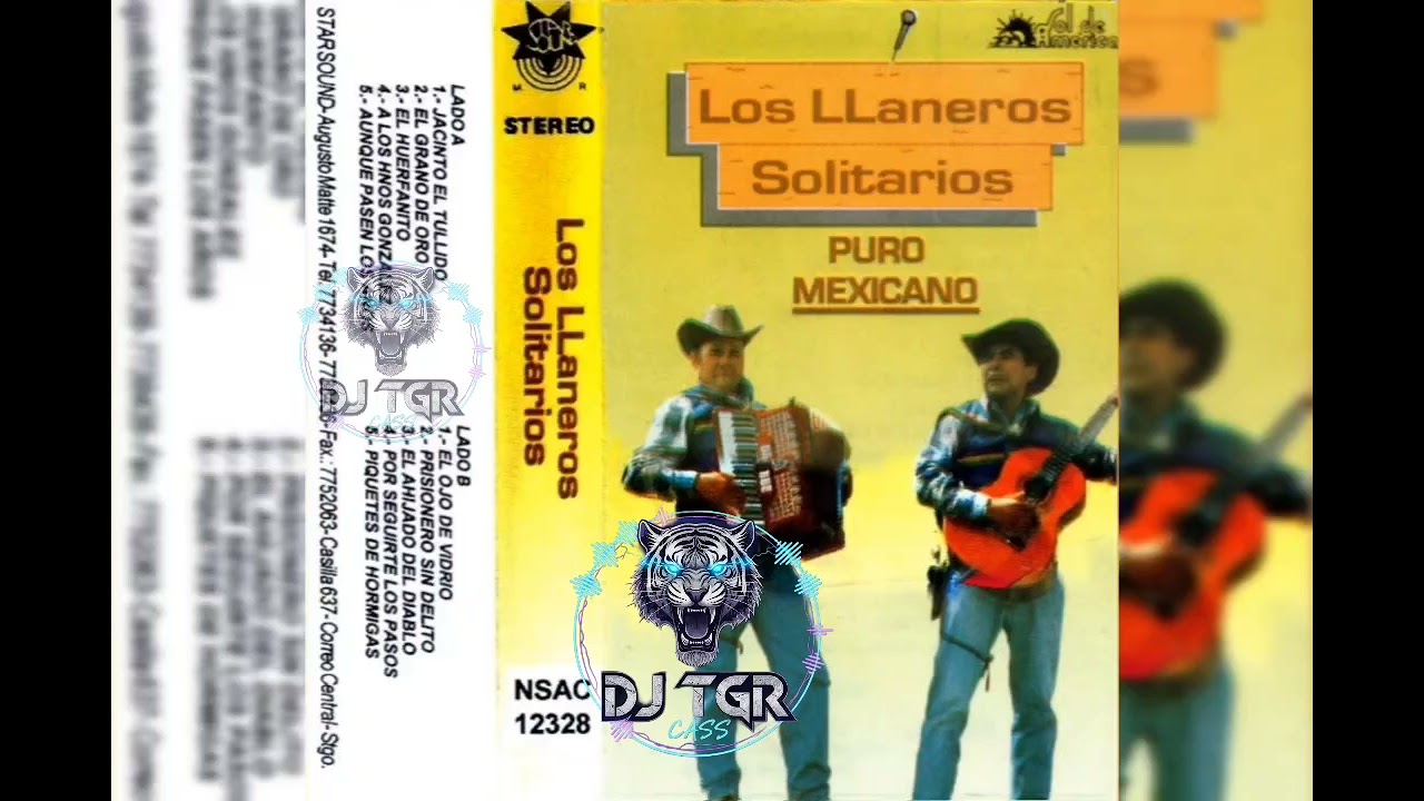 LOS LLANEROS SOLITARIOS - PURO MEXICANO LADO A  (1994) (DJTGRCASS 