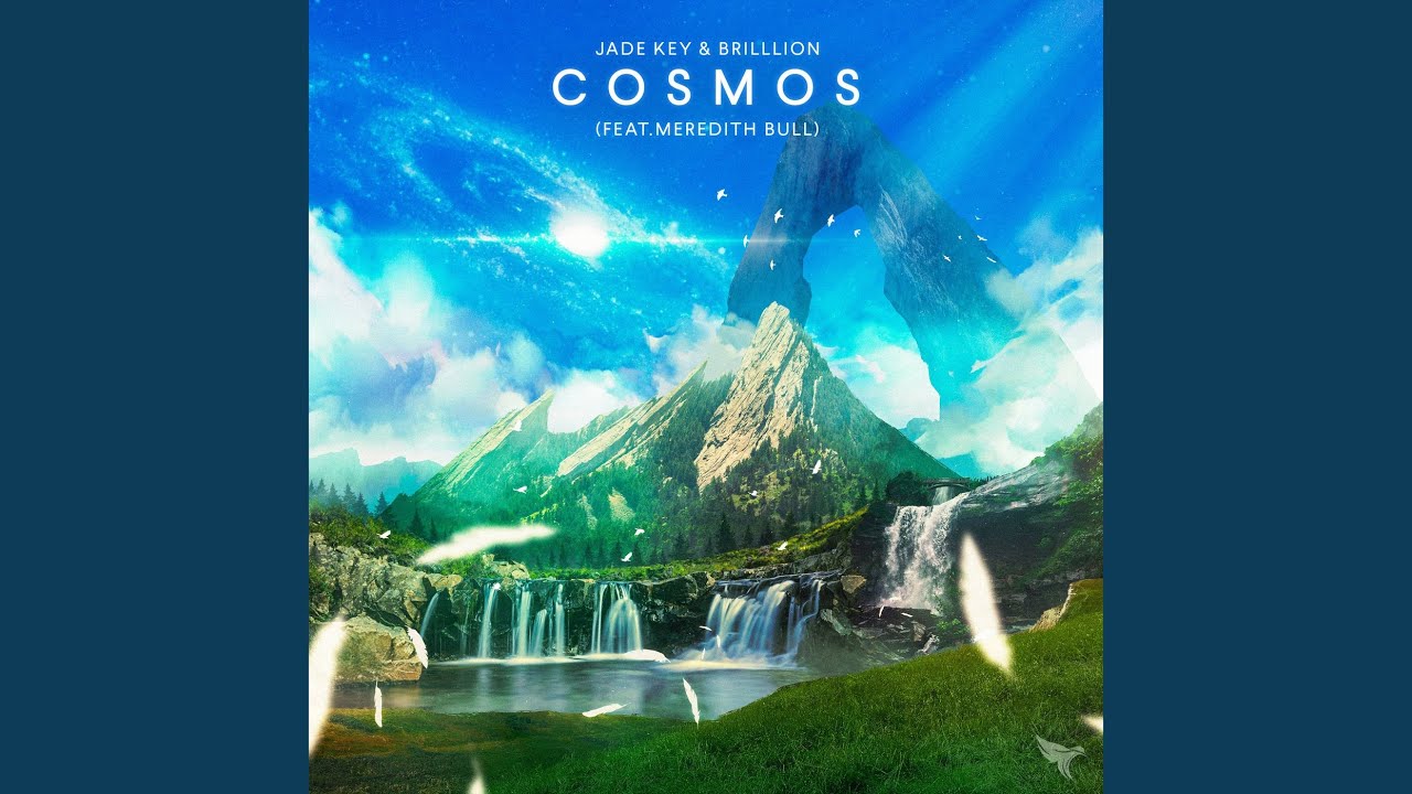 Cosmos