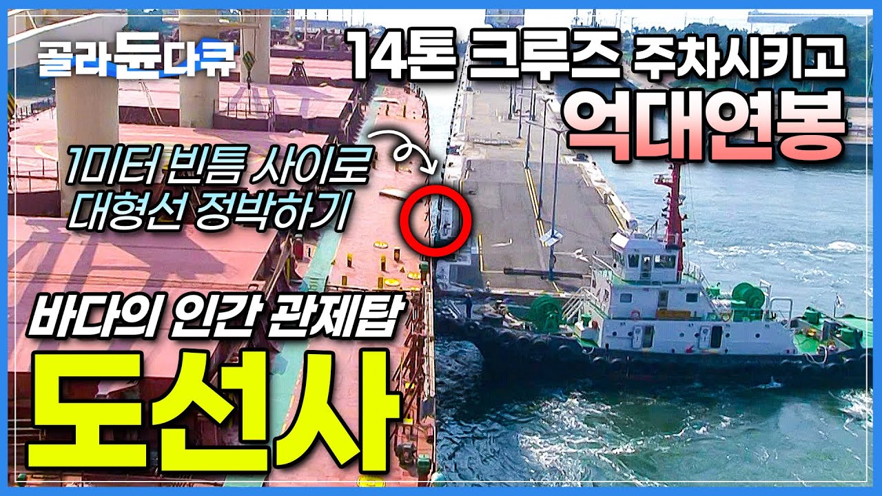 14만 톤 크루즈, 하루 200척 교통정리│인간 지휘통제실 '도선사'의 세계│이게 바로 '국위선양' 한국 최초 세계도선사협회 부회장 '이귀복'씨│직업의 세계, 일인자│#골라듄다큐