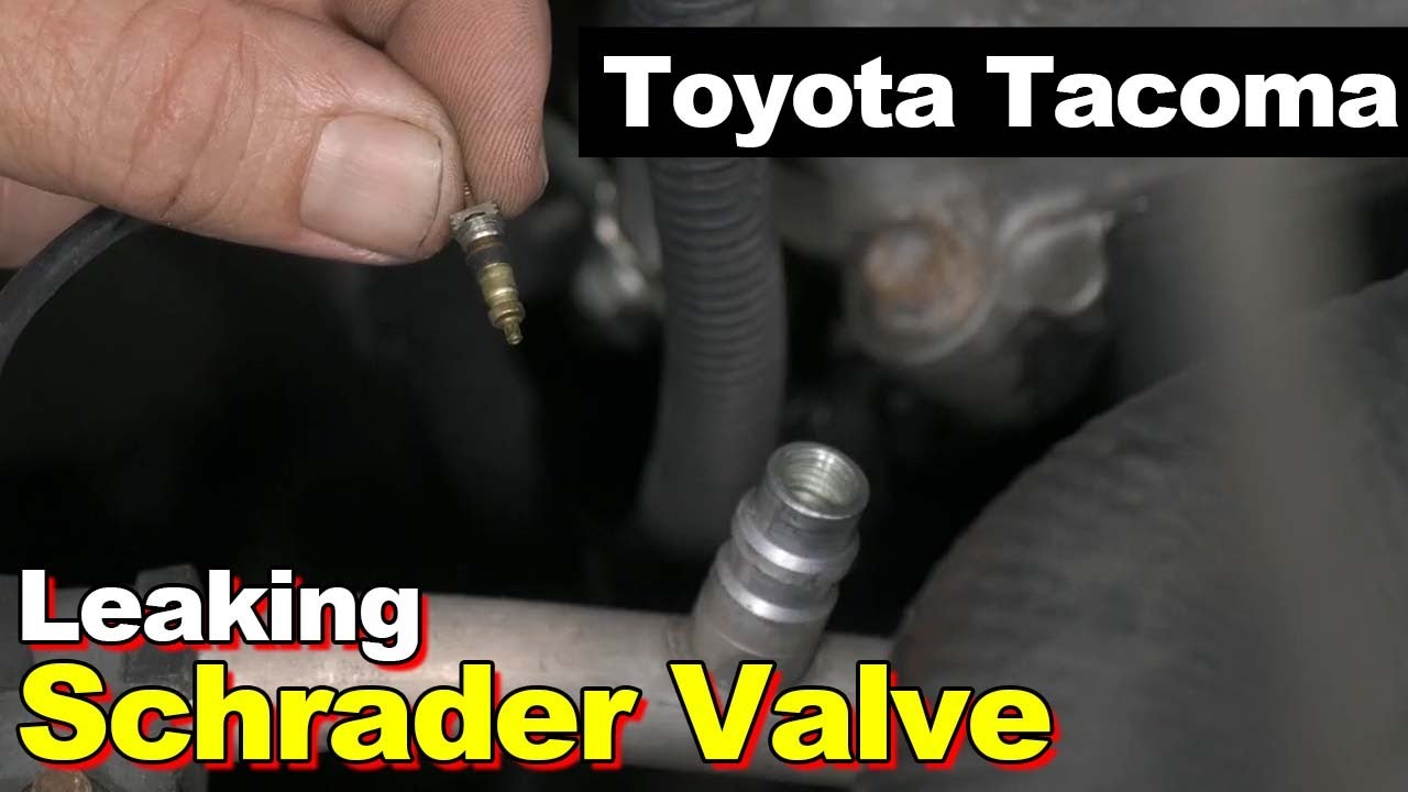 Toyota Tacoma 2006 года выпуска, течь клапана Шредера