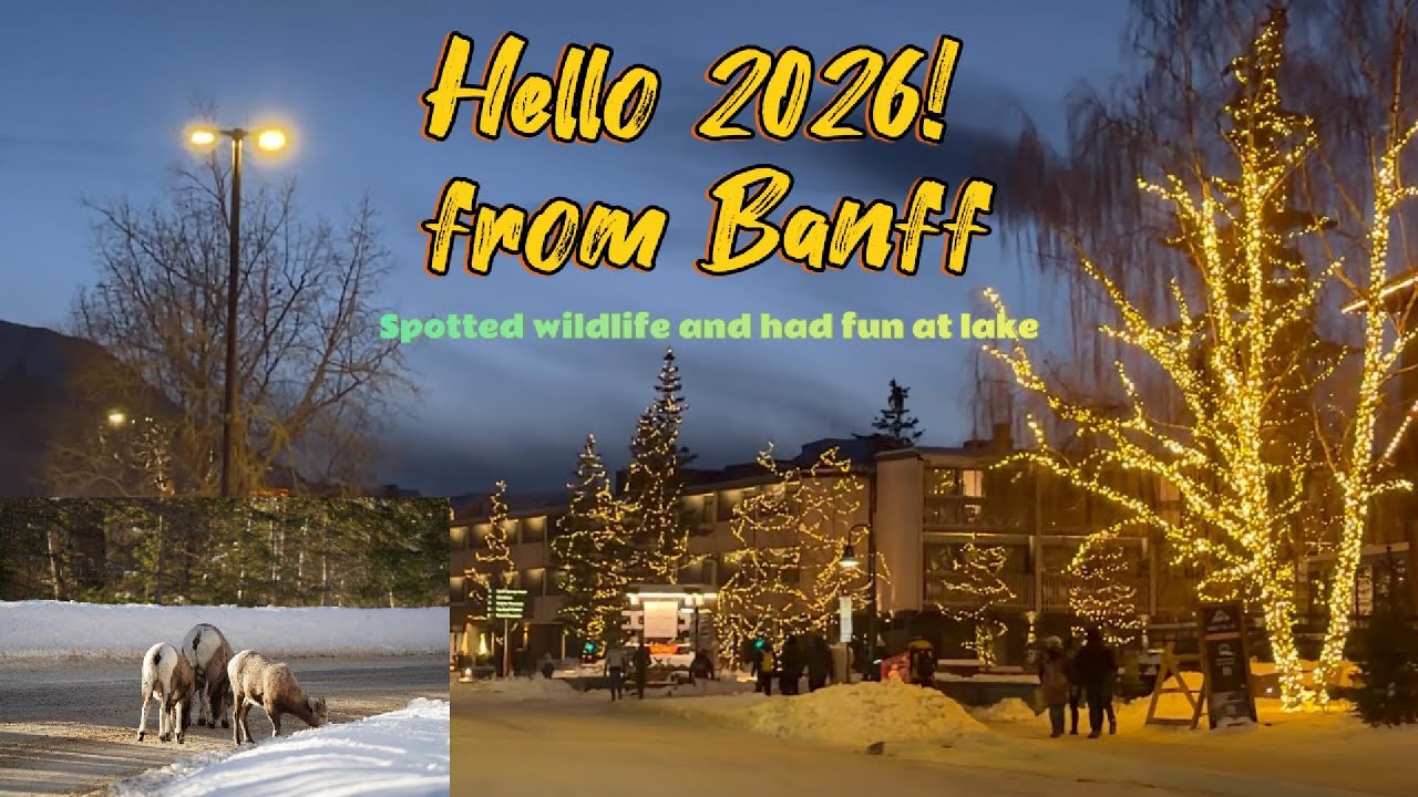 Welcoming 2026 in glowing Banff Town|| Spotted Wildlife|| Lake Minnewanka in Winter|| Norquay Ski
