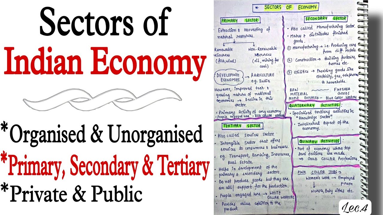 Primary, Secondary & Tertiary Economies || Sectors of Economy || Lec.4 || An Aspirant !
