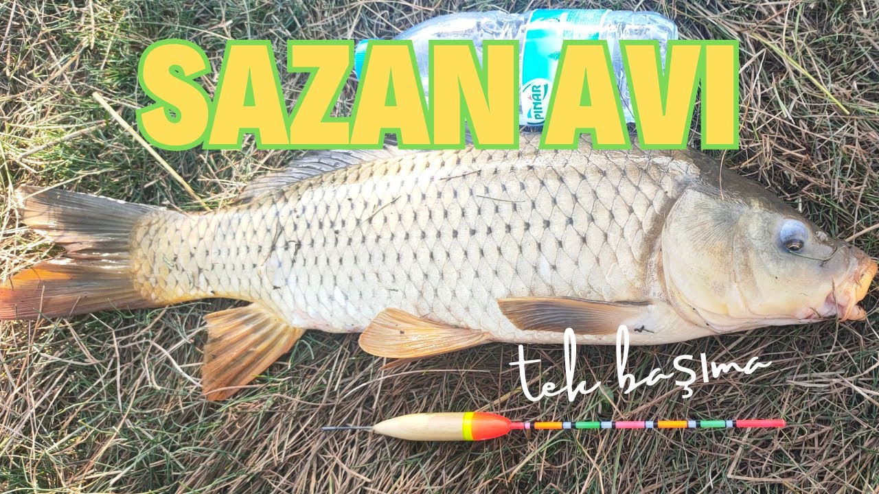 Ankara SAZAN AVI tek başıma  /dağ başında/ 😱😨😱