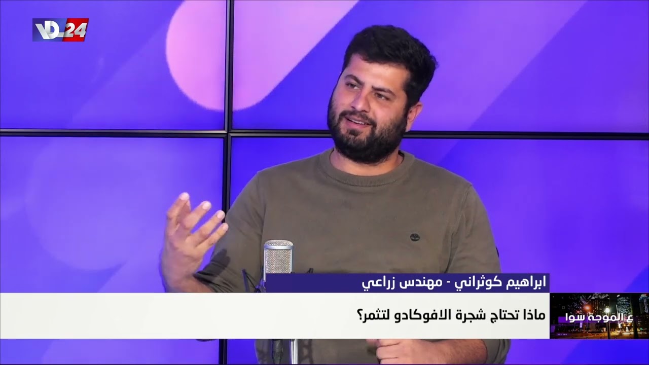 زراعة الافوكادو في لبنان، ما لها وما عليها مع الخبير الزراعي ابراهيم كوثراني في ترابك ذهب