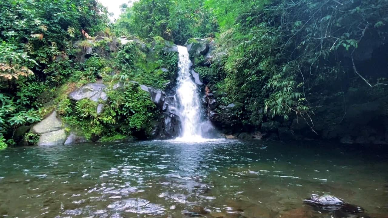 Natural Night Waterfall Sounds in Shadow Forest to Calm Your Thoughts 🌲💤