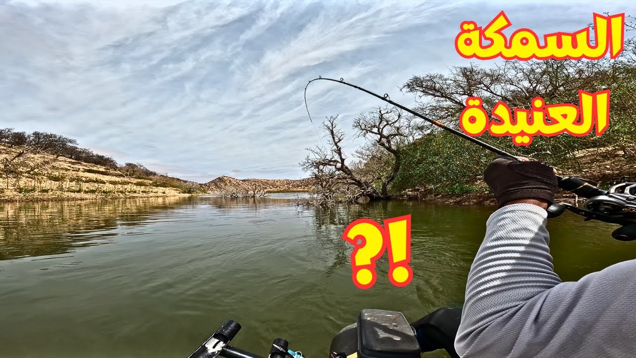 Barbeau Géant_ 4K _ السمكة العنيدة