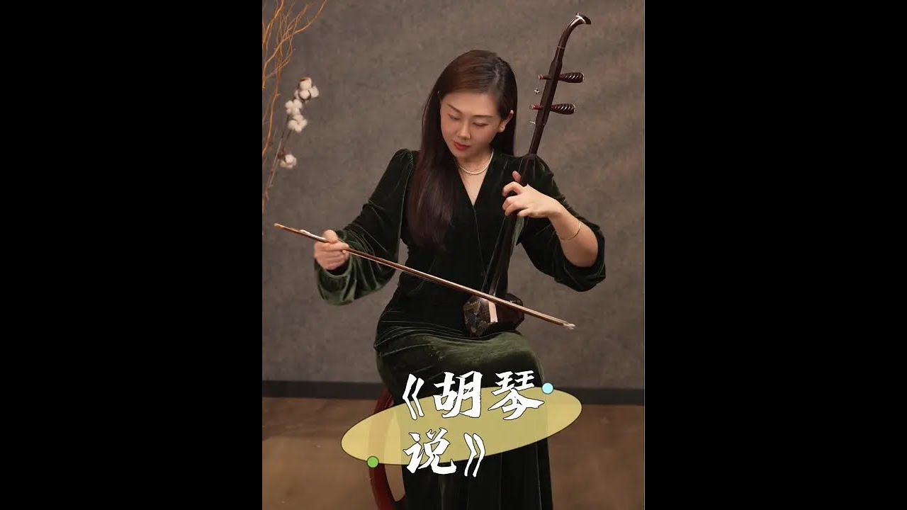 《胡琴说》#二胡