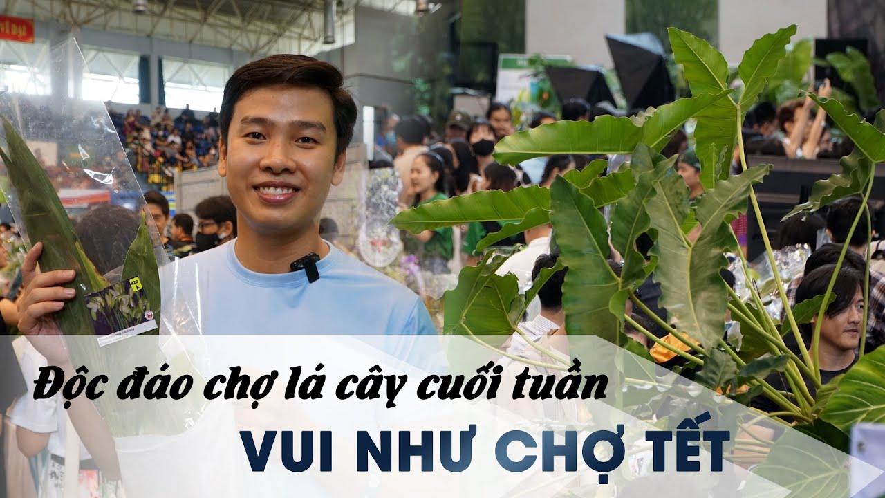 Chợ lá cây cuối tuần độc đáo ở TP.HCM: Vui như chợ hoa ngày Tết