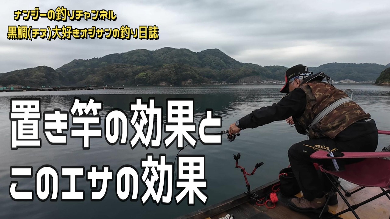 【かかり釣り 仮屋湾 波多水産 筏】今日はこのエサだけに反応しました