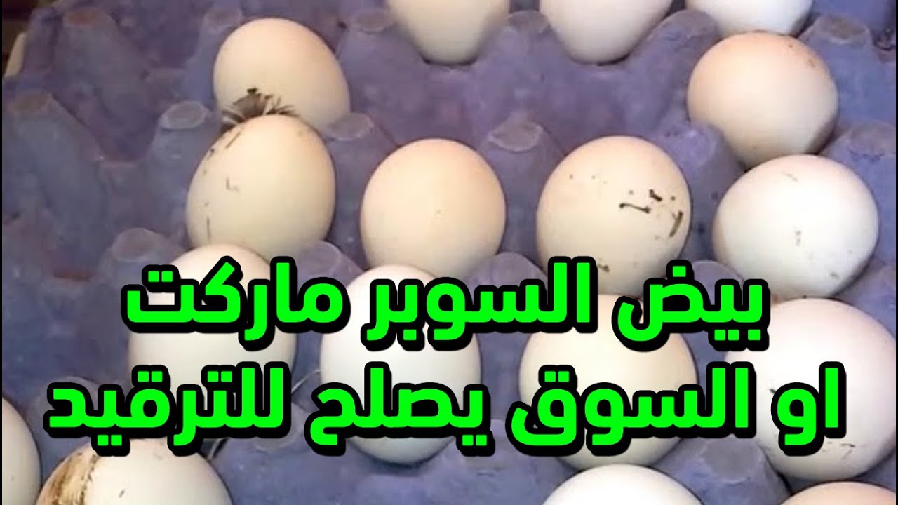 بيض السوبر ماركت يصلح للترقيد او بيض السوق  | ازاي نختار بيض صالح للترقيد من السوق؟ مع خبرتنا كاملة