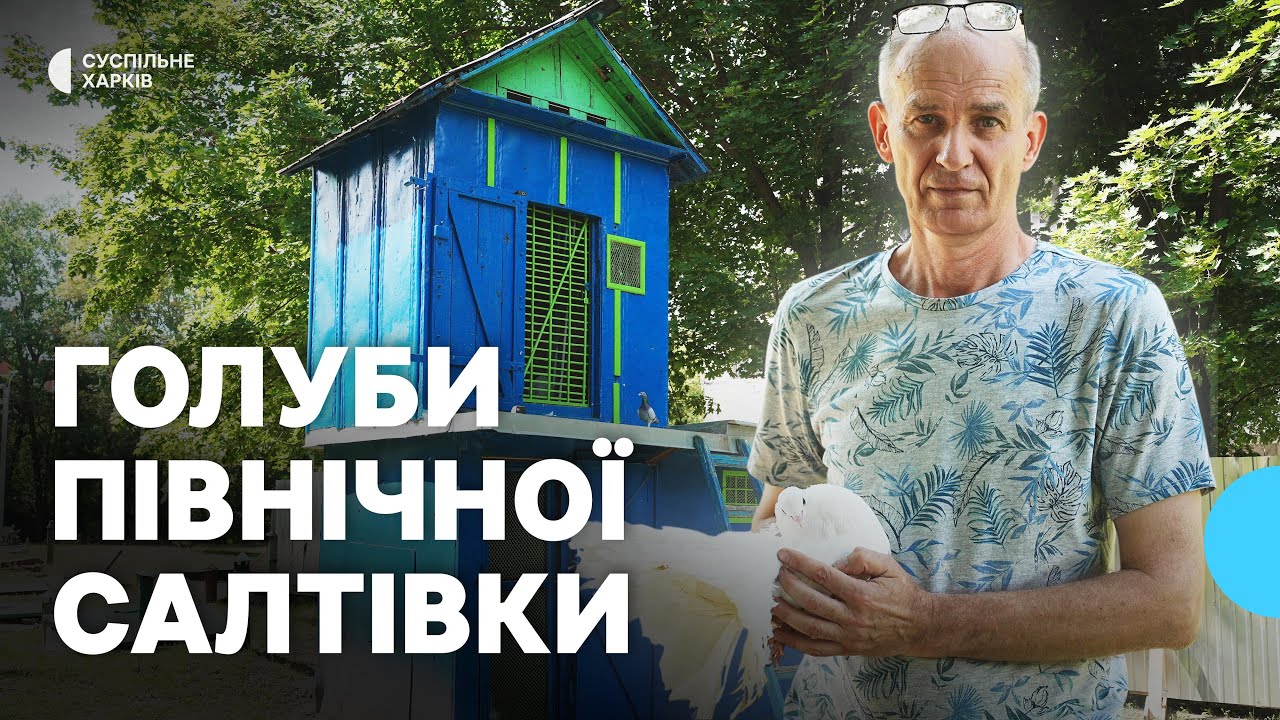 Доглядає голубів на Північній Салтівці у Харкові попри війну: історія Олега Гаврішенка