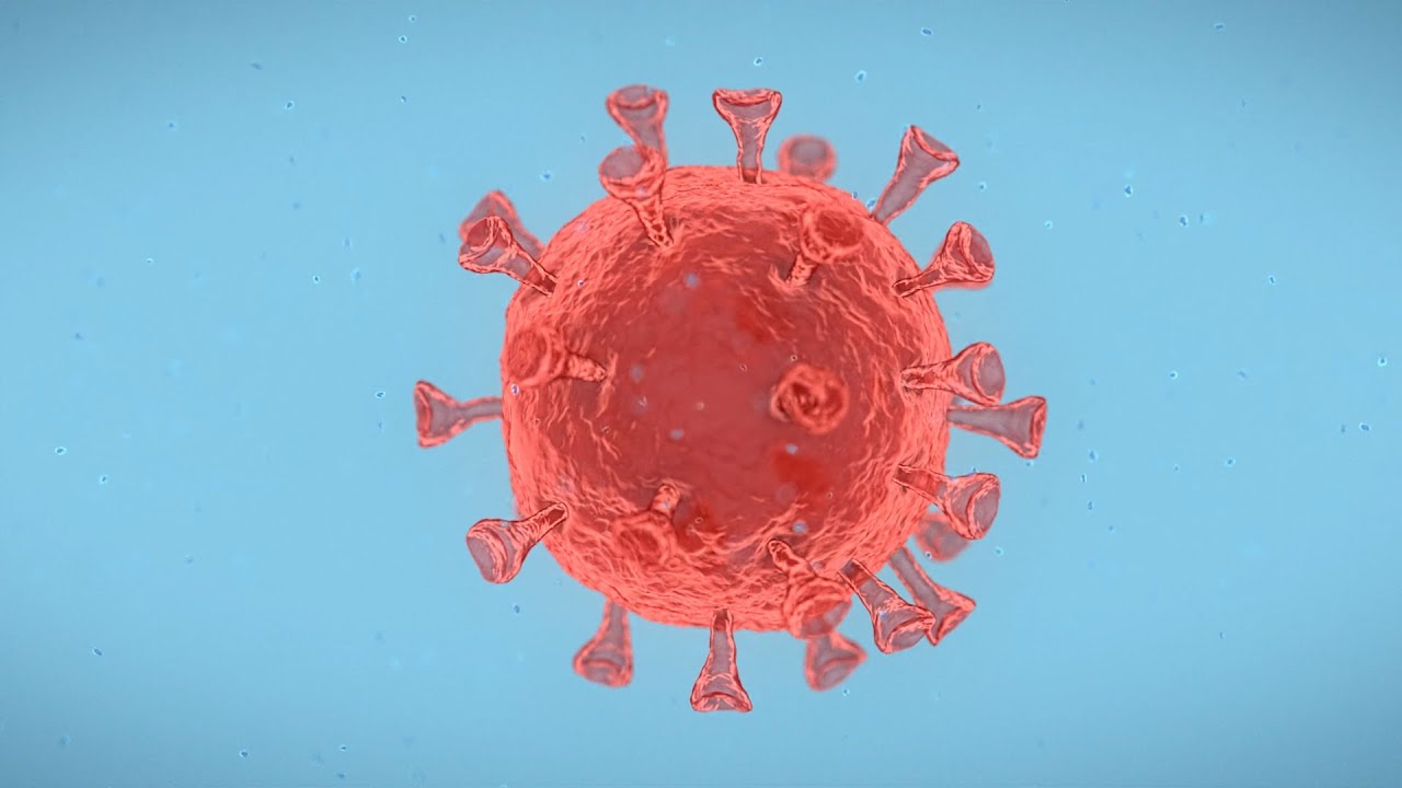 There are four types of COVID-19 vaccines: here’s how they work