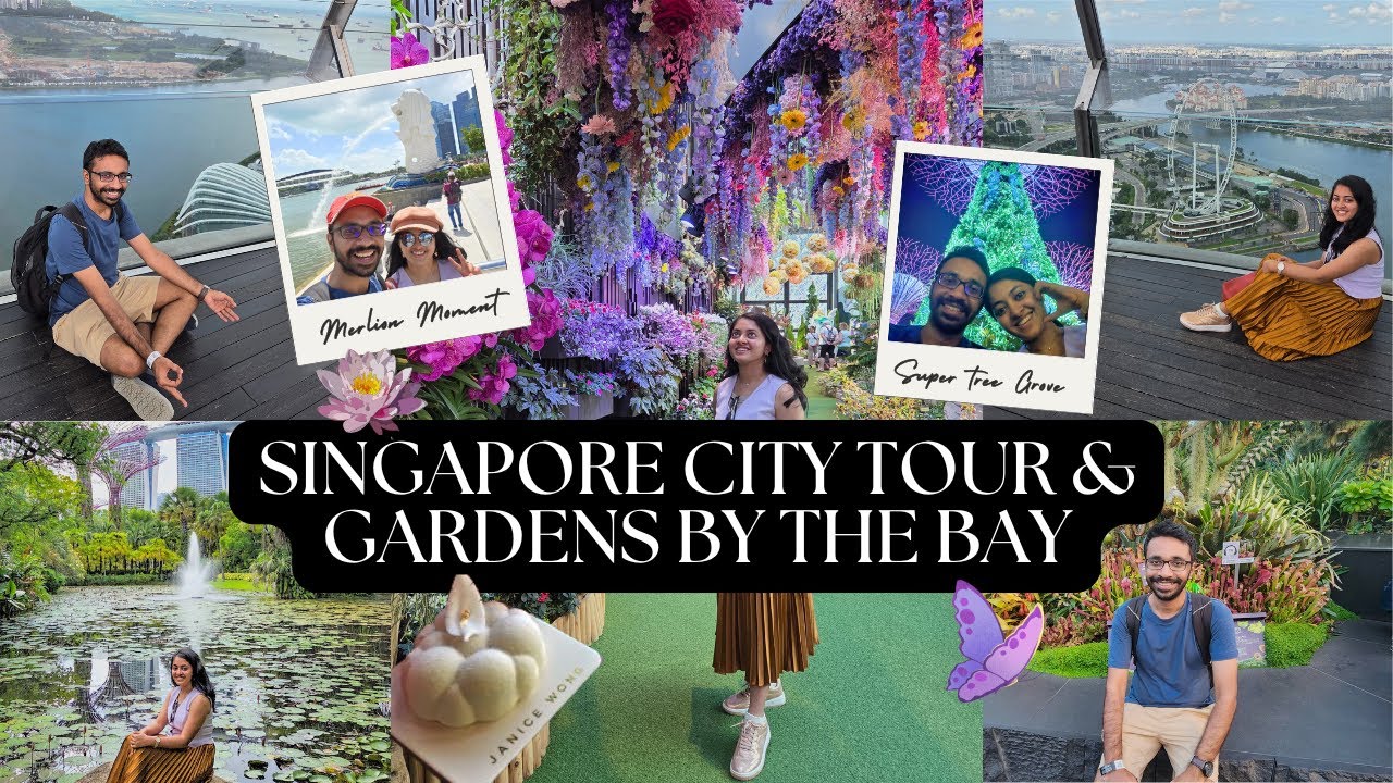 Singapore's Ultimate Day: Old Hill to Gardens by the Bay Christmas Glow