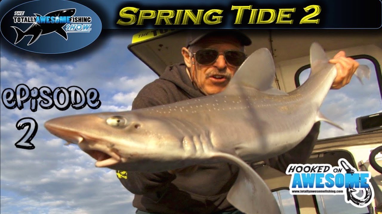 SPRING TIDE -  Episode 2 - Smoothound & Rays | TAFishing