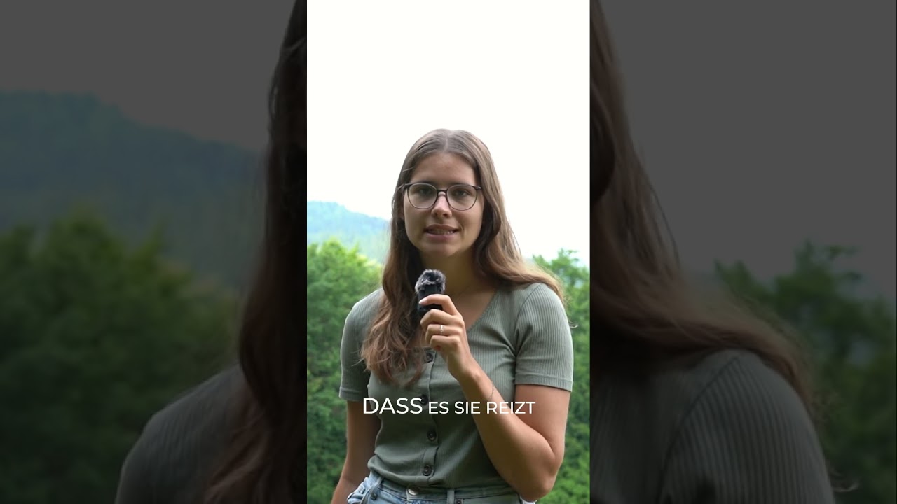 Duftstoffe & Hunde: Was du wissen musst? 🐶