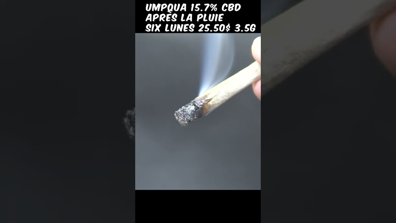 UMPQUA -15,7% CBD - Six Lunes - APR&Egrave;S LA PLUIE- Fleur de CBD - SQDC #short #zoombud #