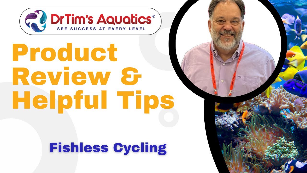 Fishless Cycling | How To Do a Fishless Cycle