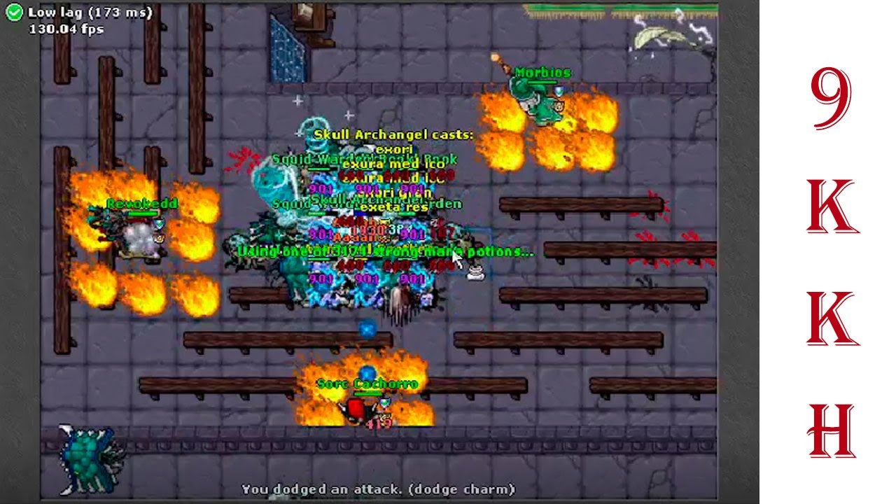 Tibia Ice Library Hunt X4 - 9kk/h (Livraria de Gelo)