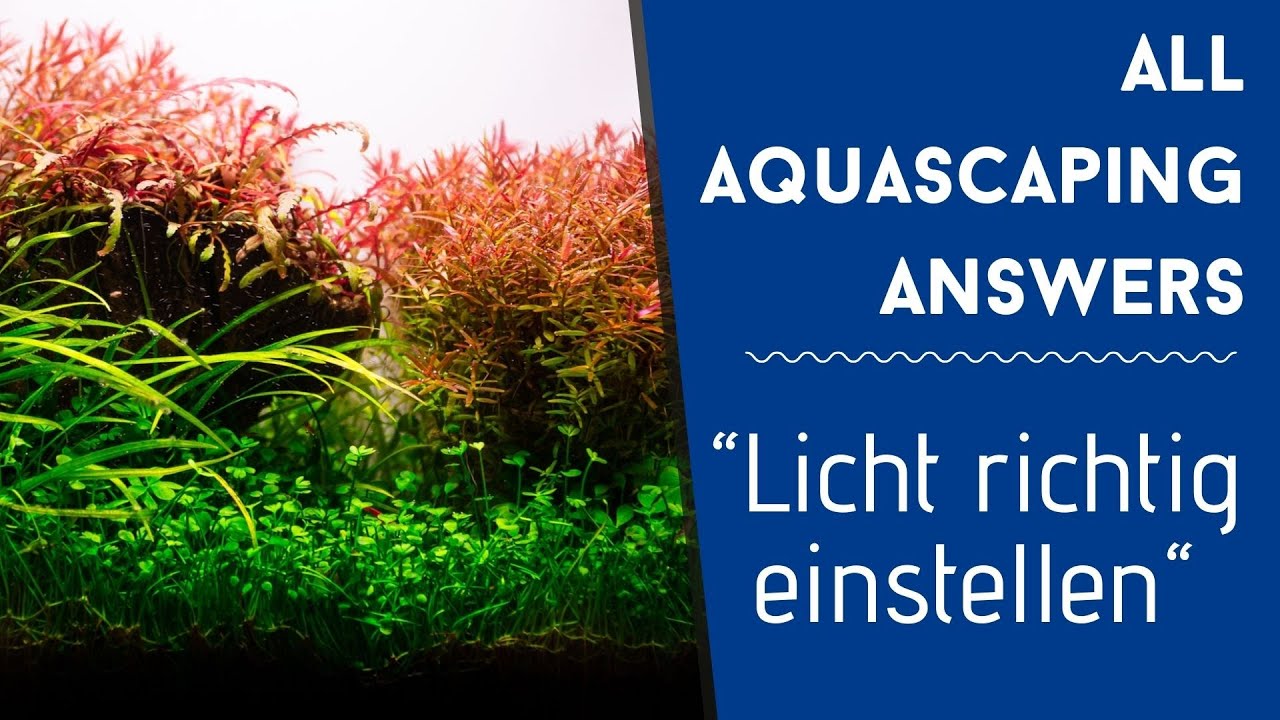 Licht richtig einstellen | AAA #102
