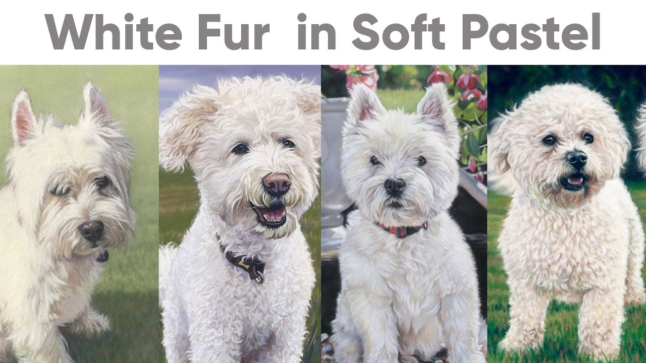 Paint White Fur in Soft Pastel - Curls